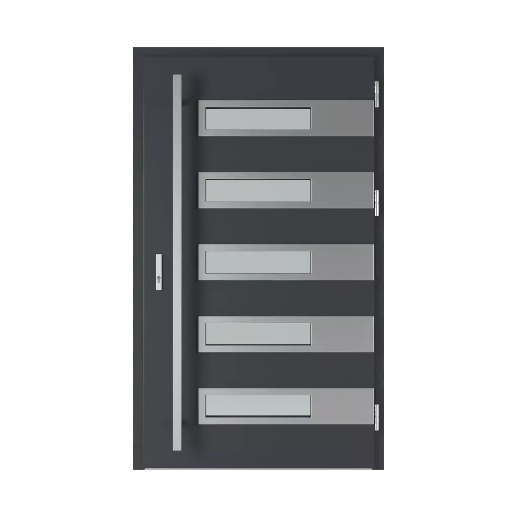 Roding 2 entry-doors models-of-door-fillings glazed 