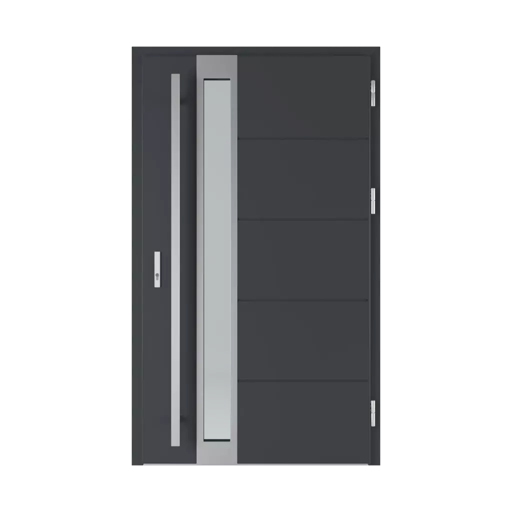 Singen 6 entry-doors models-of-door-fillings glazed 